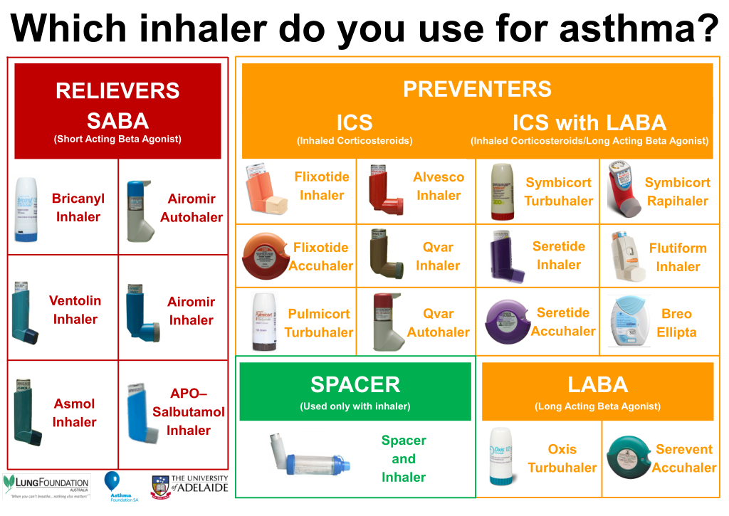 Asthma Inhaler Chart